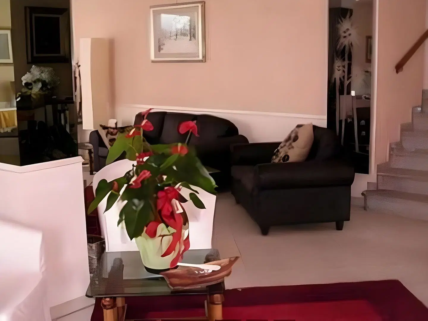 Sorriso ROOM_EXAMPLE