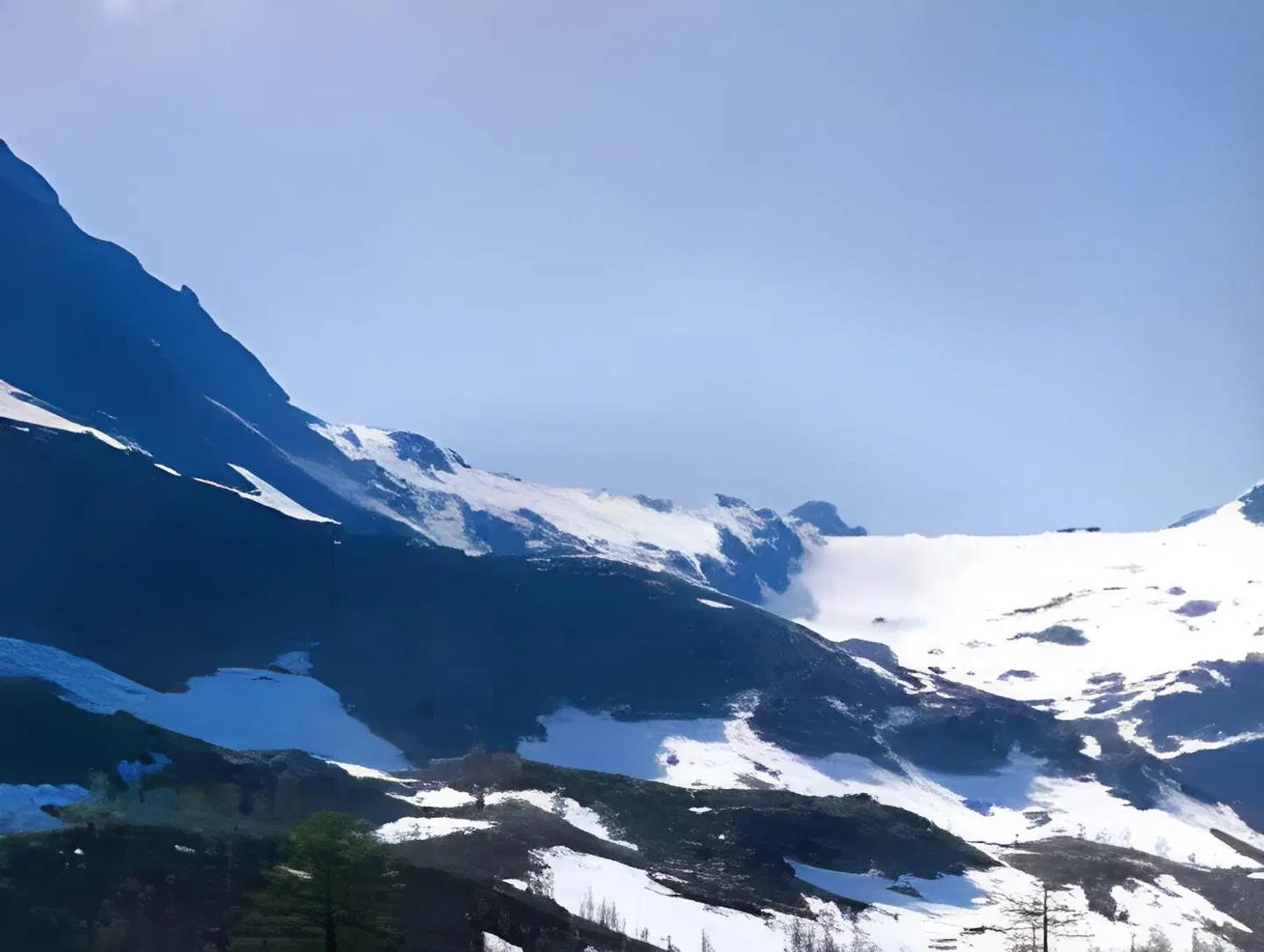 Tavernier LANDSCAPE