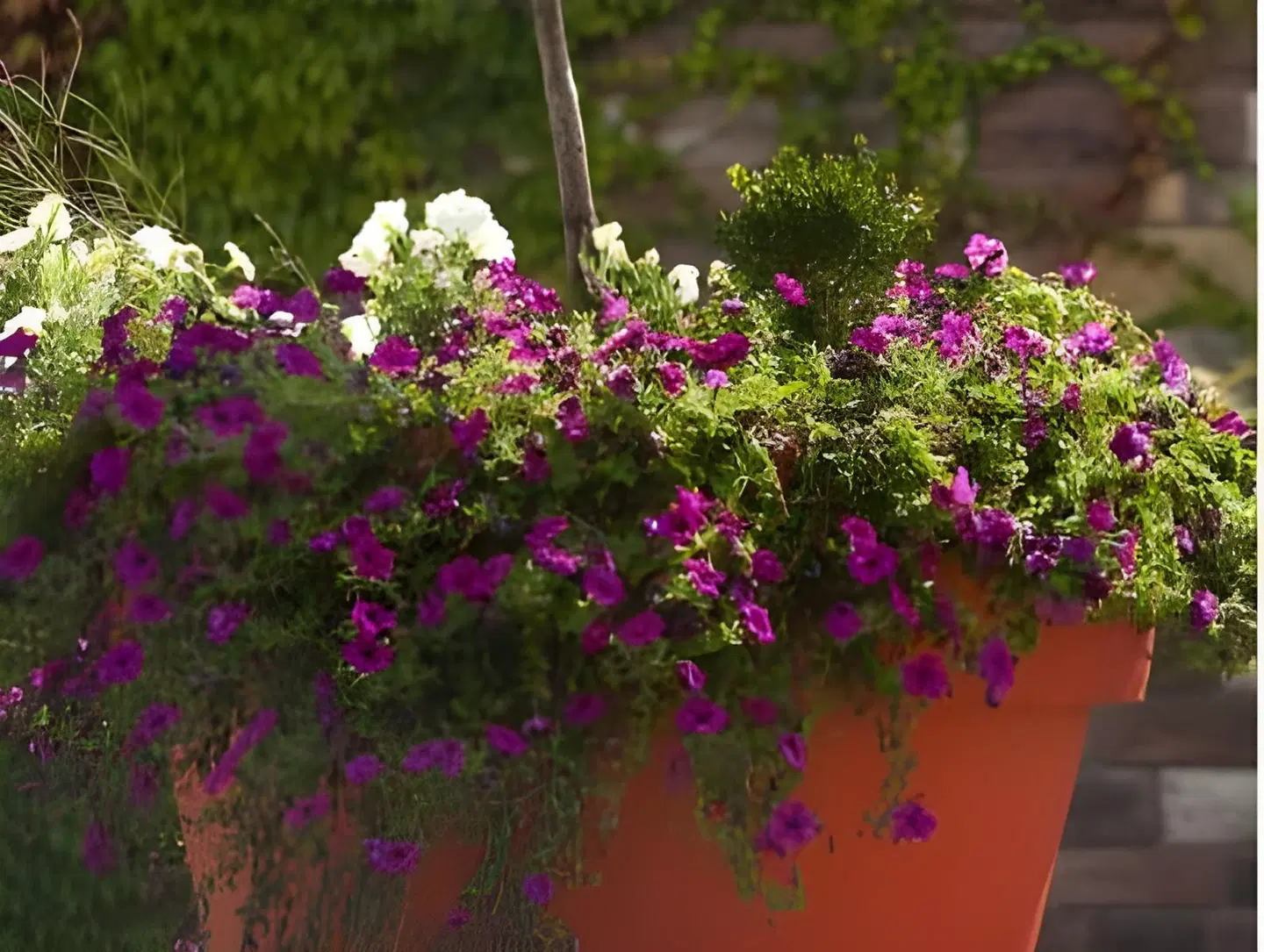 Hotel La Palette GARDEN