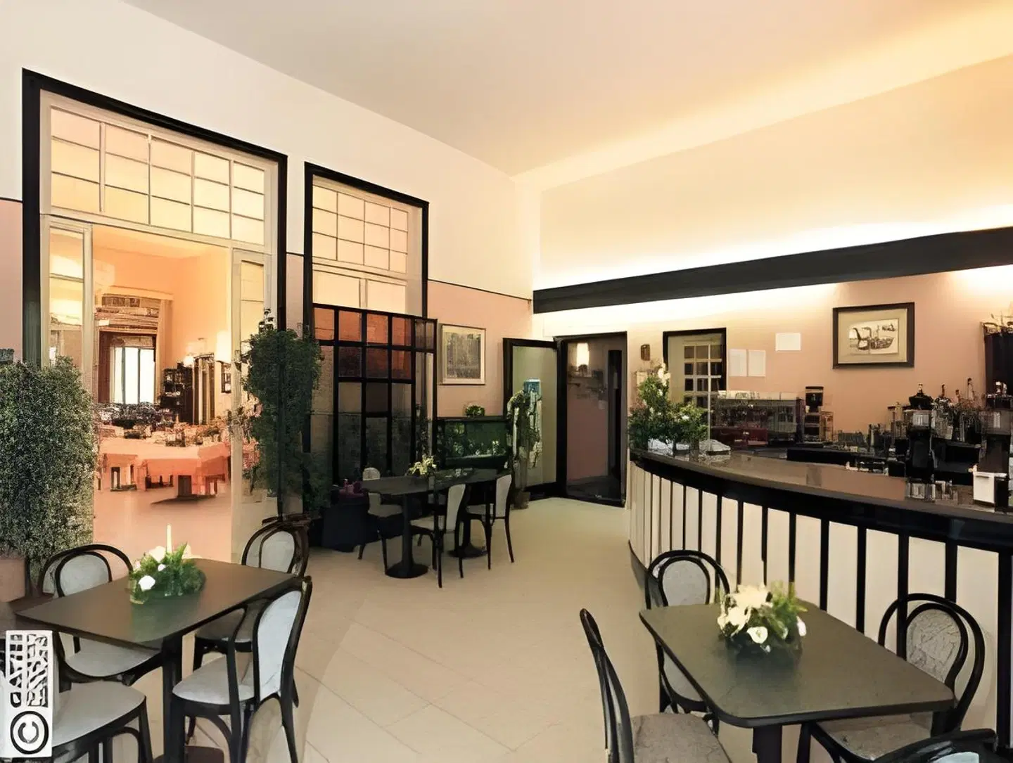 Salus Bar