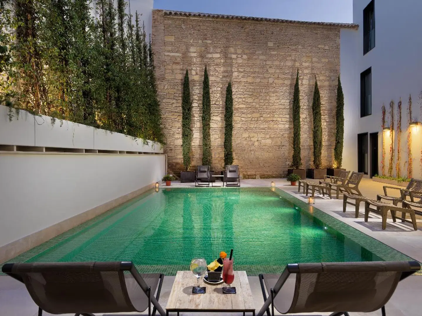 H10 Palacio Colomera OUTDOOR_POOL