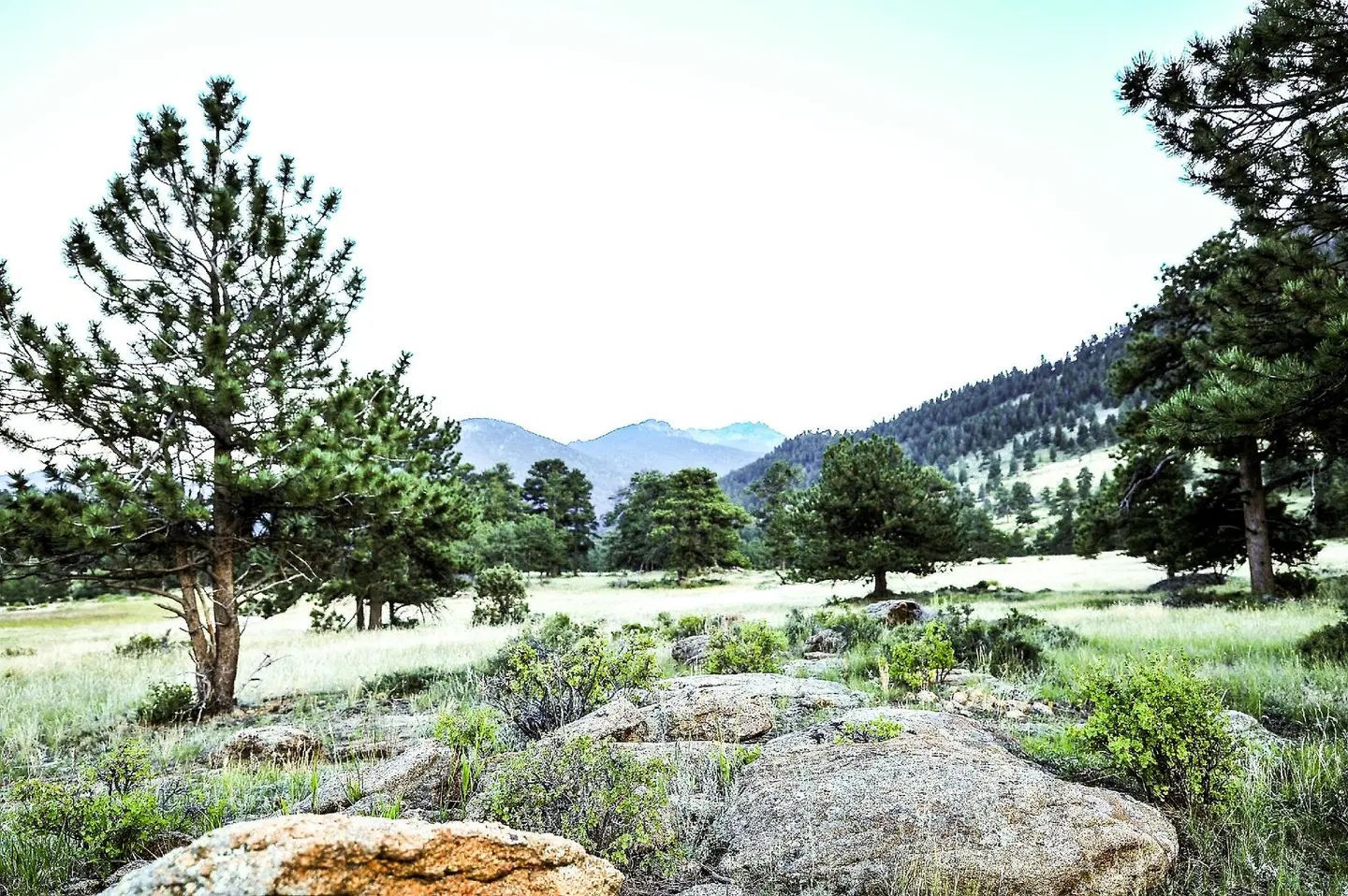 The Historic Crag's Lodge LANDSCAPE