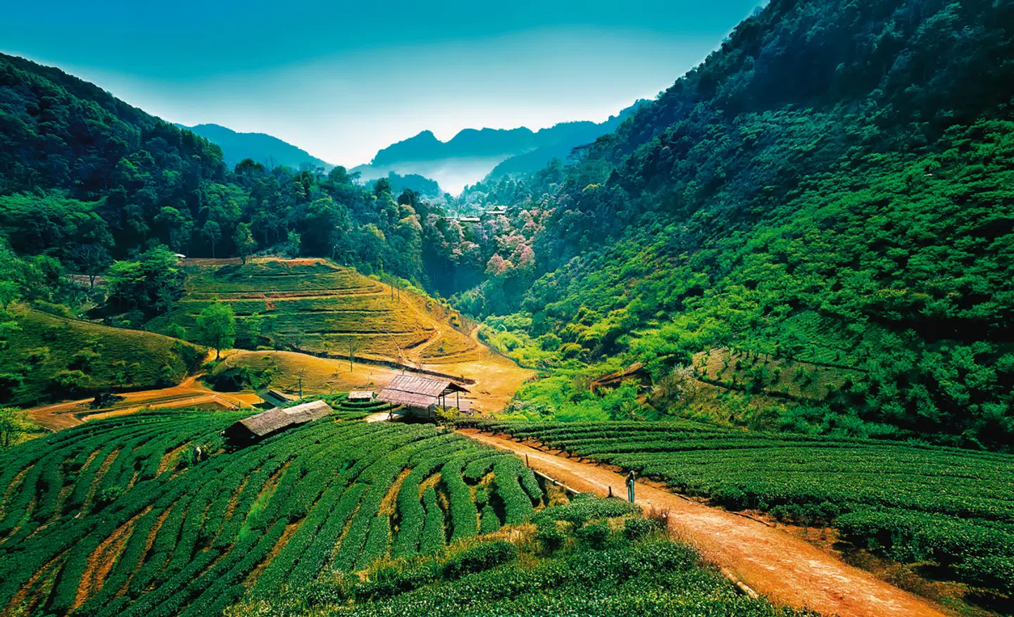 Thailand Rundreise & Baden LANDSCAPE
