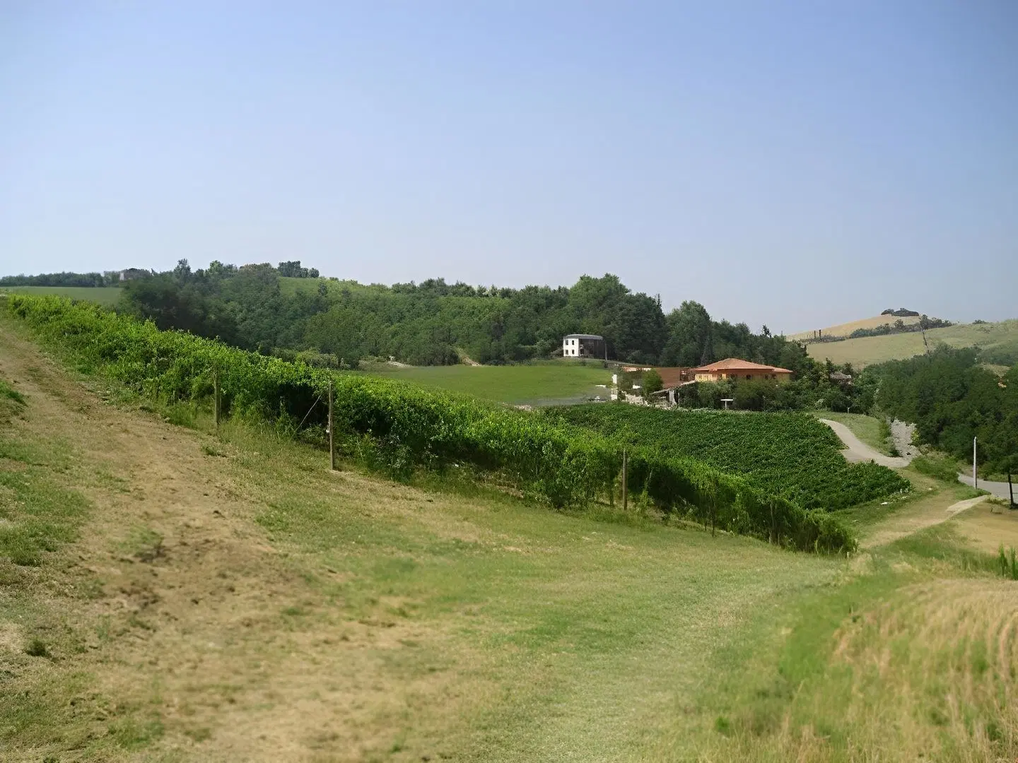 Agriturismo Gaggioli Borgo Delle Vigne LANDSCAPE