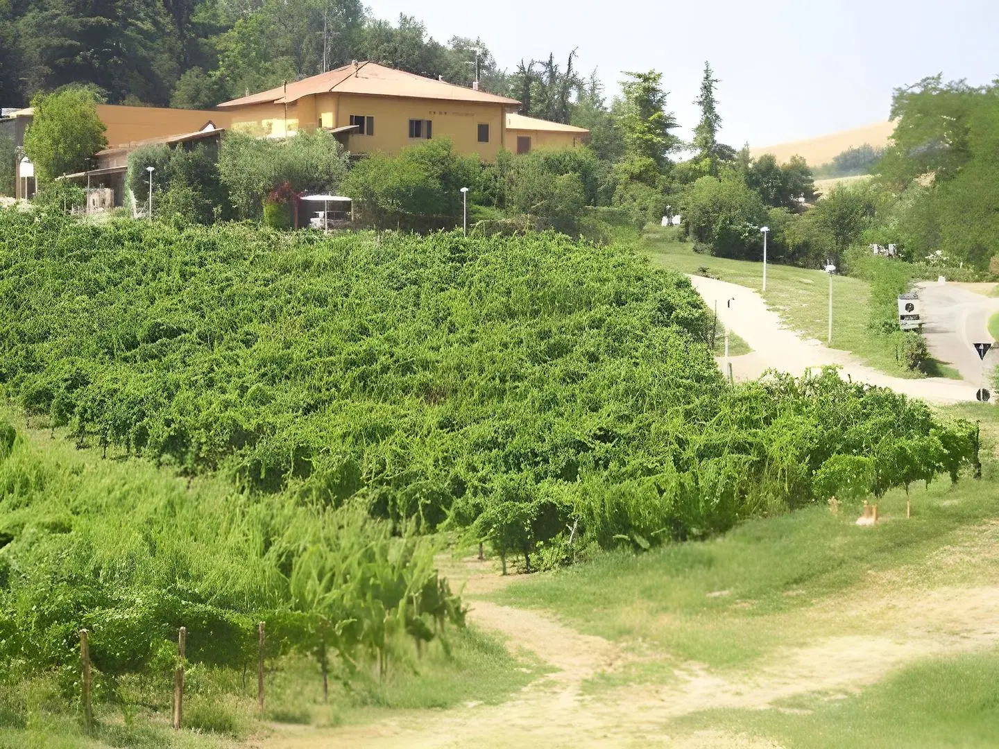 Agriturismo Gaggioli Borgo Delle Vigne EXTERIOR