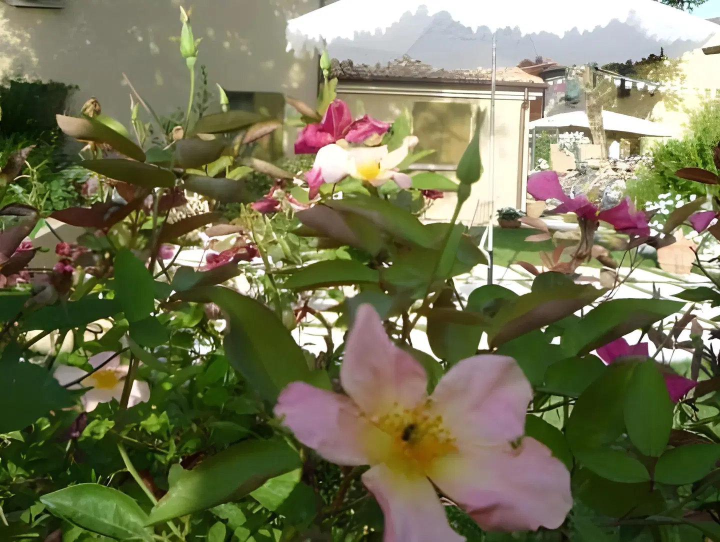 Casina Le Conserve LANDSCAPE
