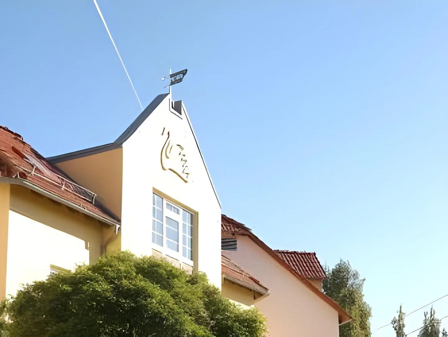 Weißer Schwan EXTERIOR