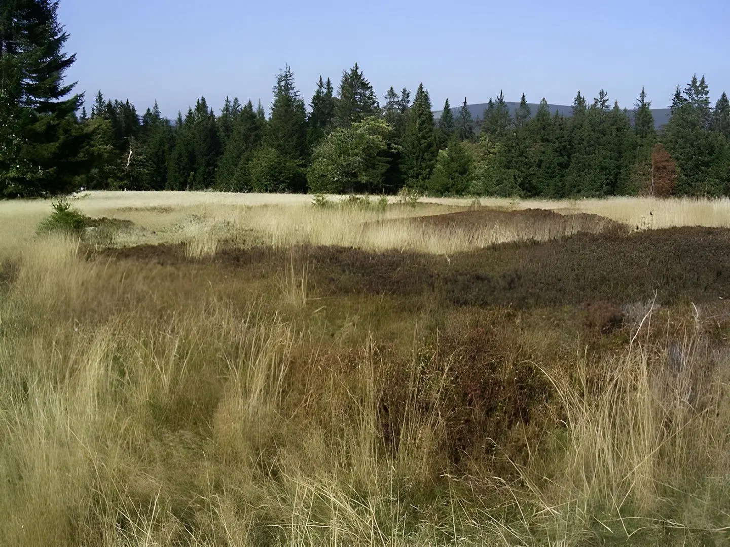 Pension Erna LANDSCAPE