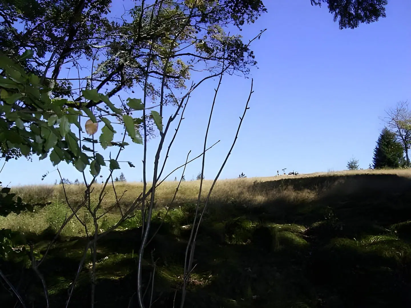 Pension Erna LANDSCAPE