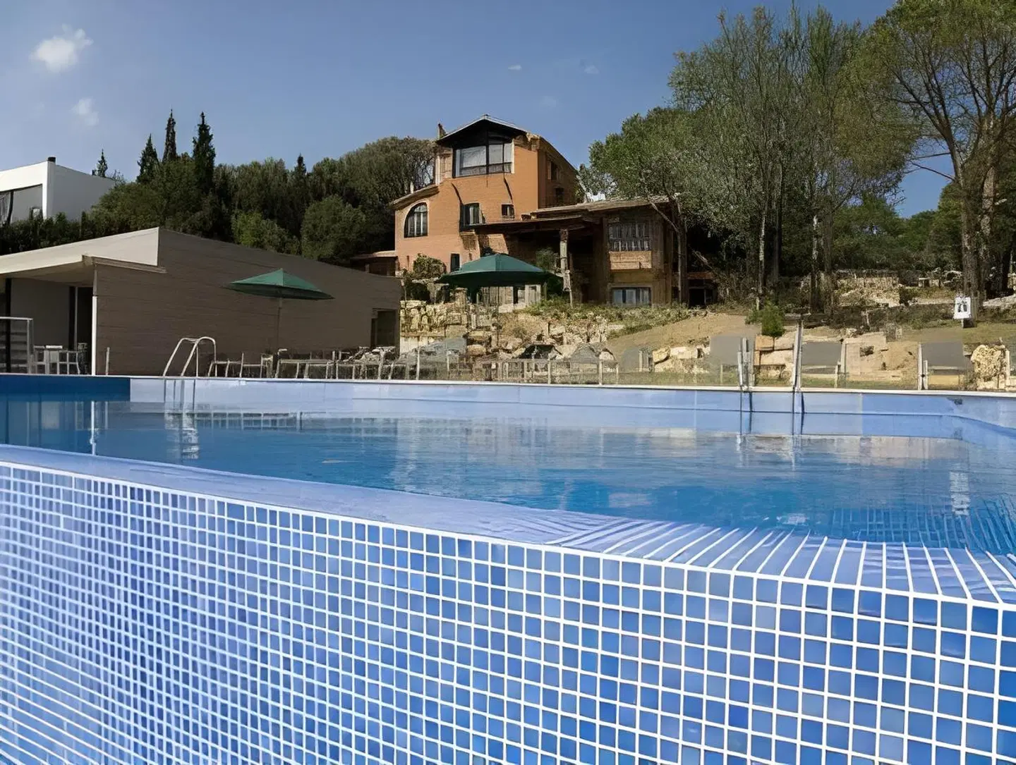 Mas Ses Vinyes OUTDOOR_POOL