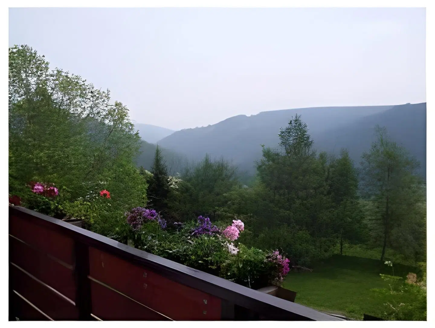 Zum Hirsch Terrasse