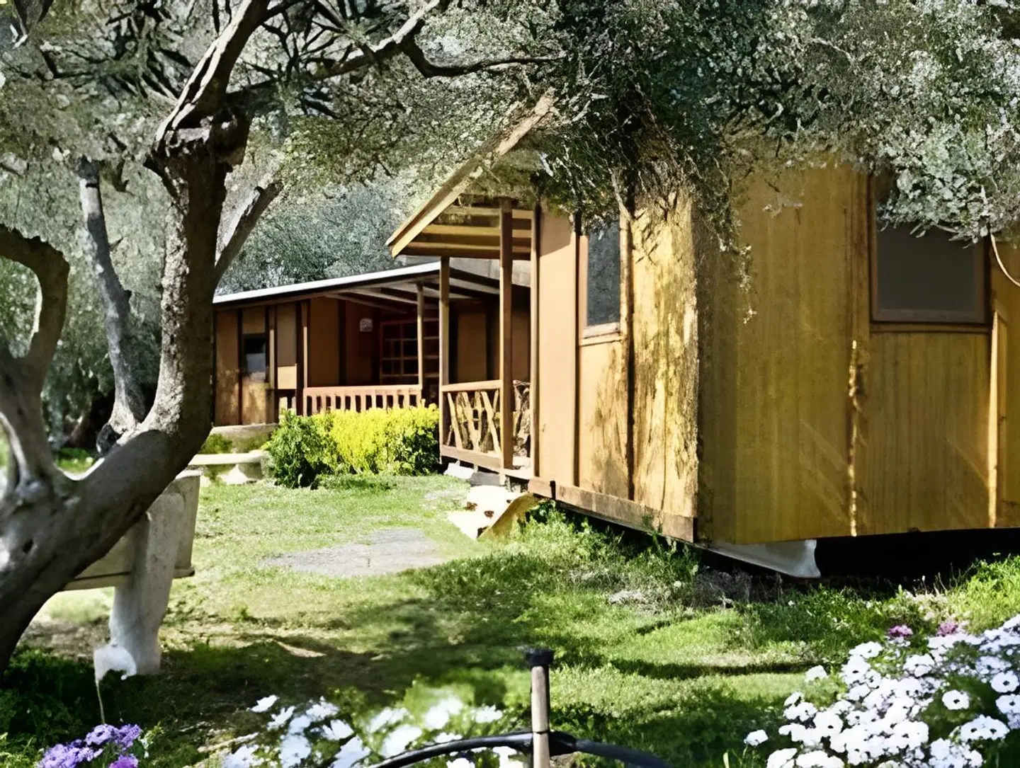 Cala Joncols Garten