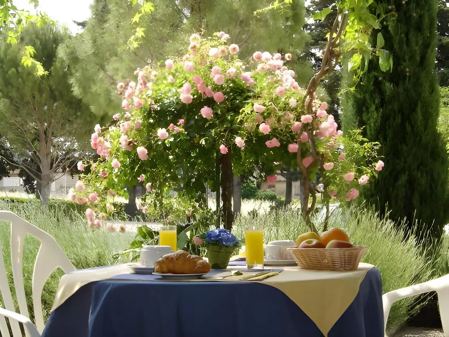 Le Pradet TERRACE