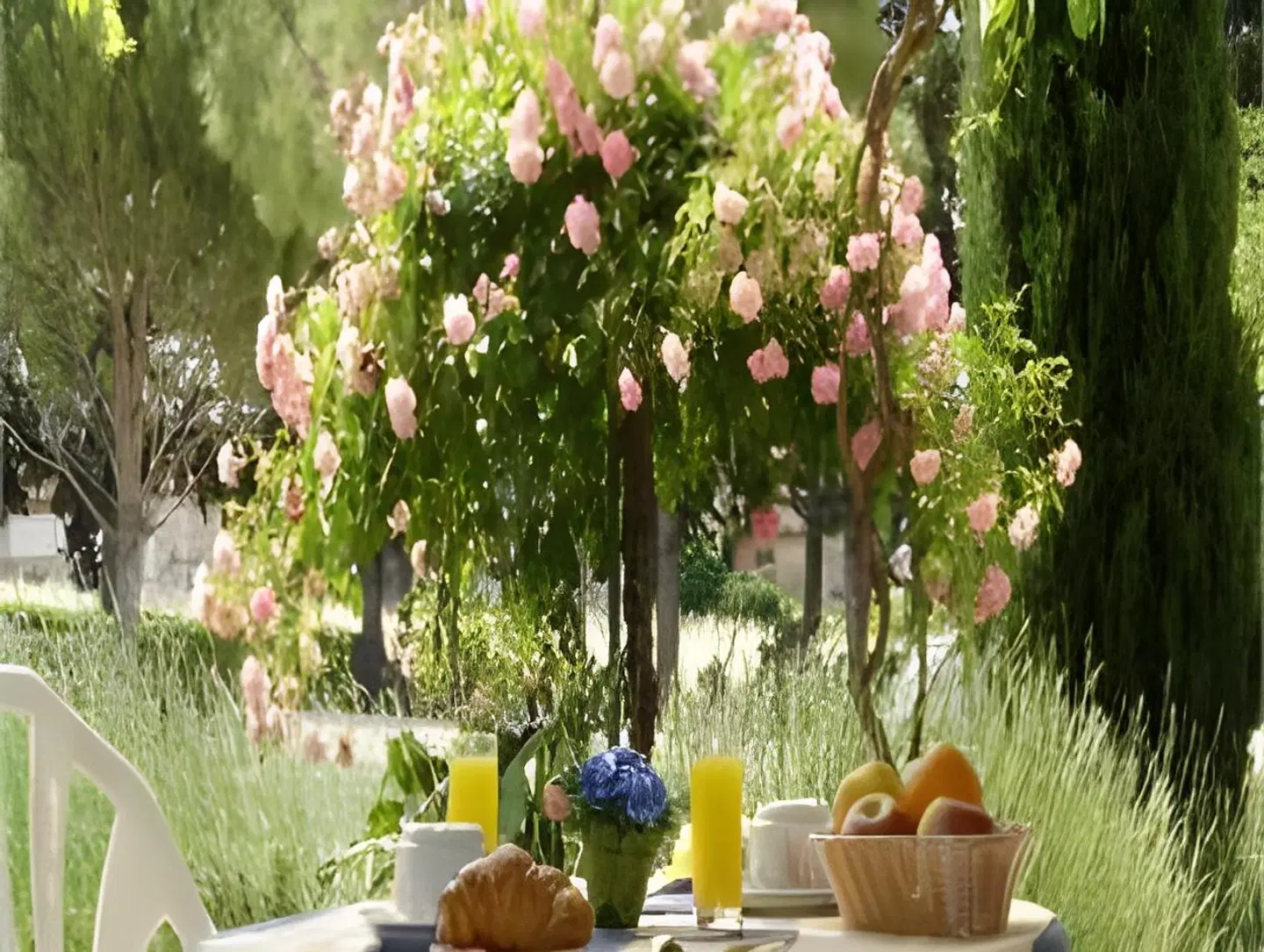 Le Pradet TERRACE