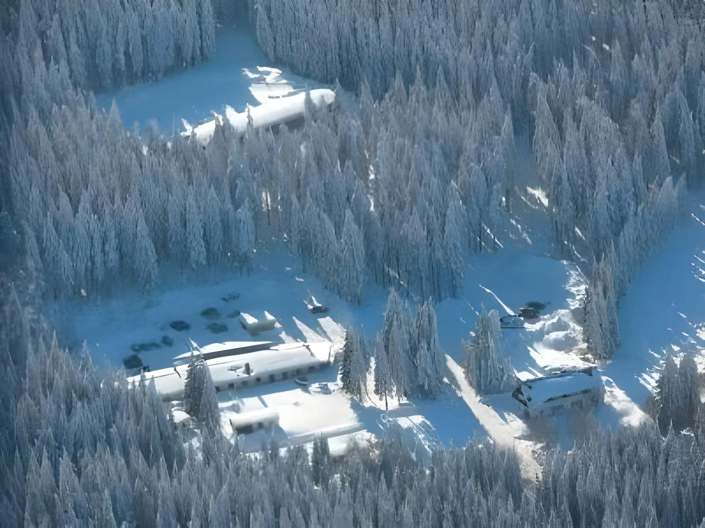 Rennsteighöhe LANDSCAPE
