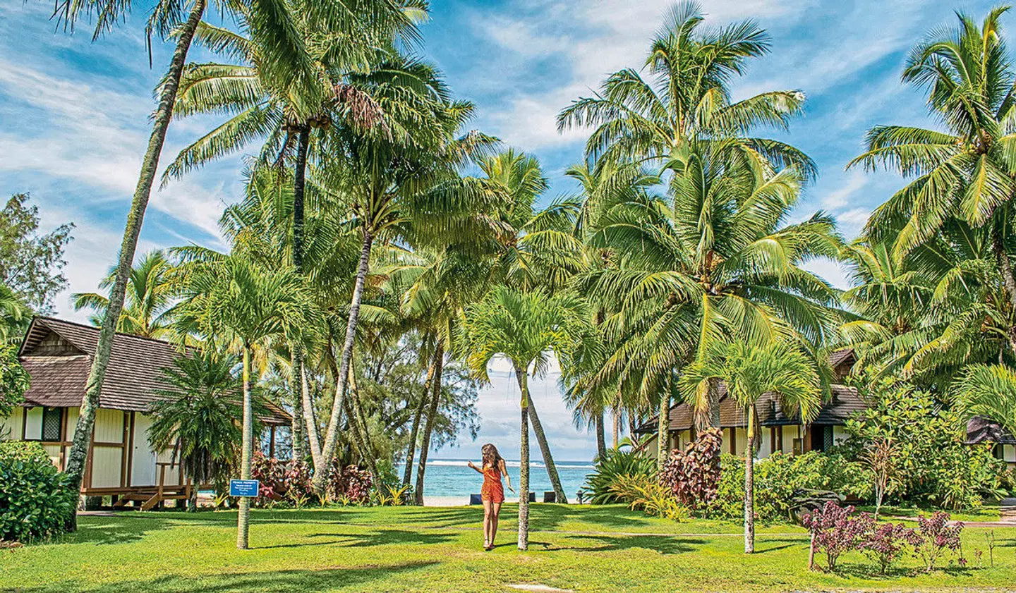 Palm Grove Garten
