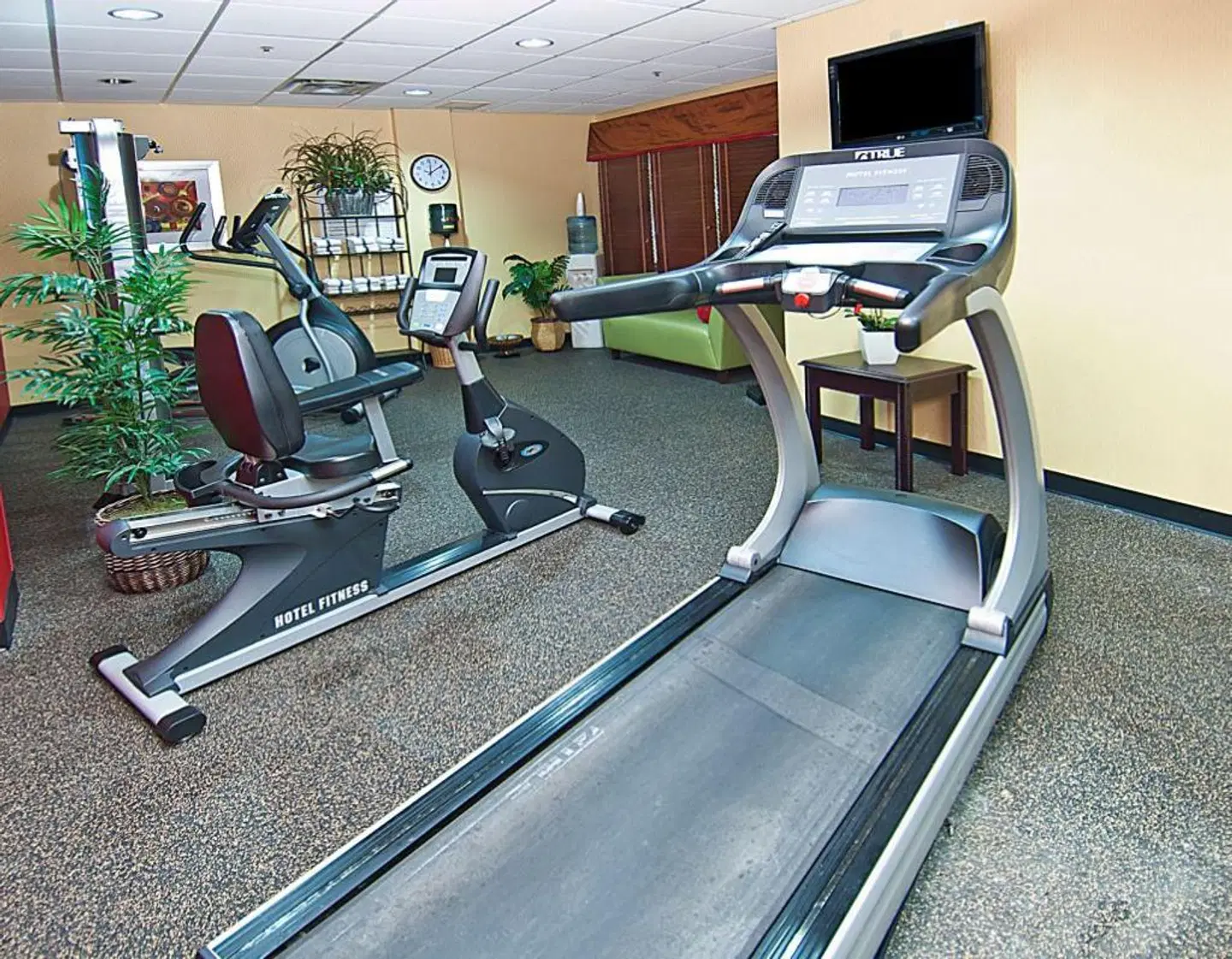 Holiday Inn Vicksburg SPORTS_AND_LEISURE