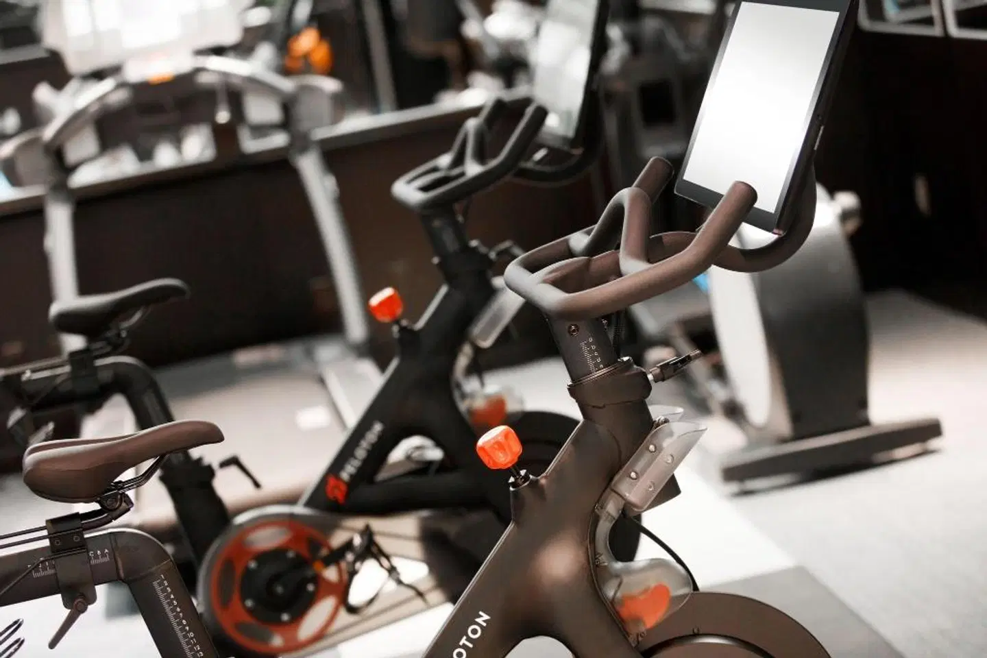 The Muse New York SPORTS_AND_LEISURE