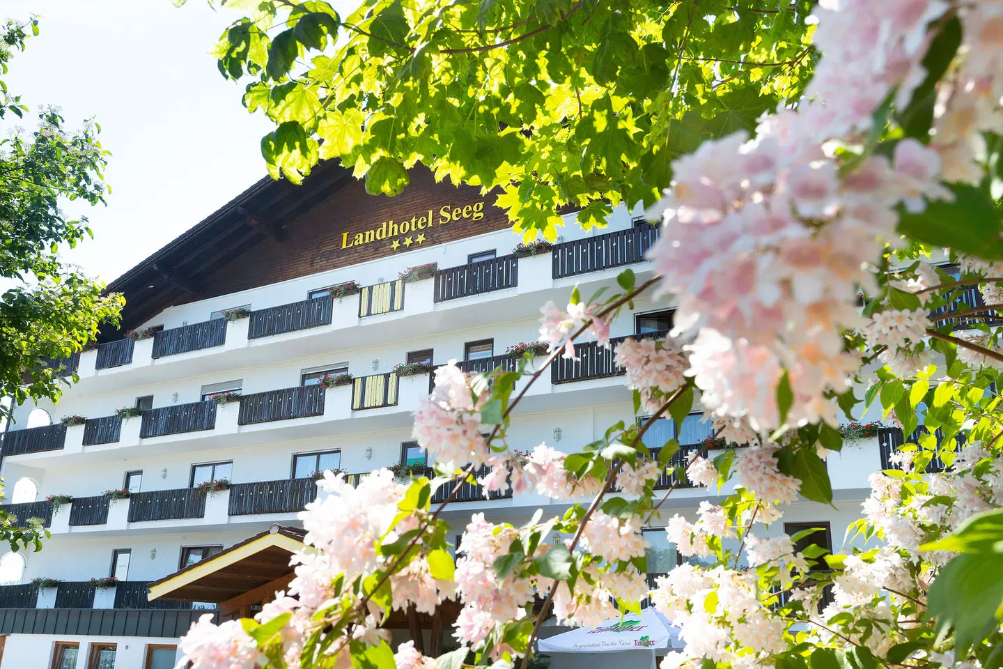Ferienhotel Seeg LANDSCAPE