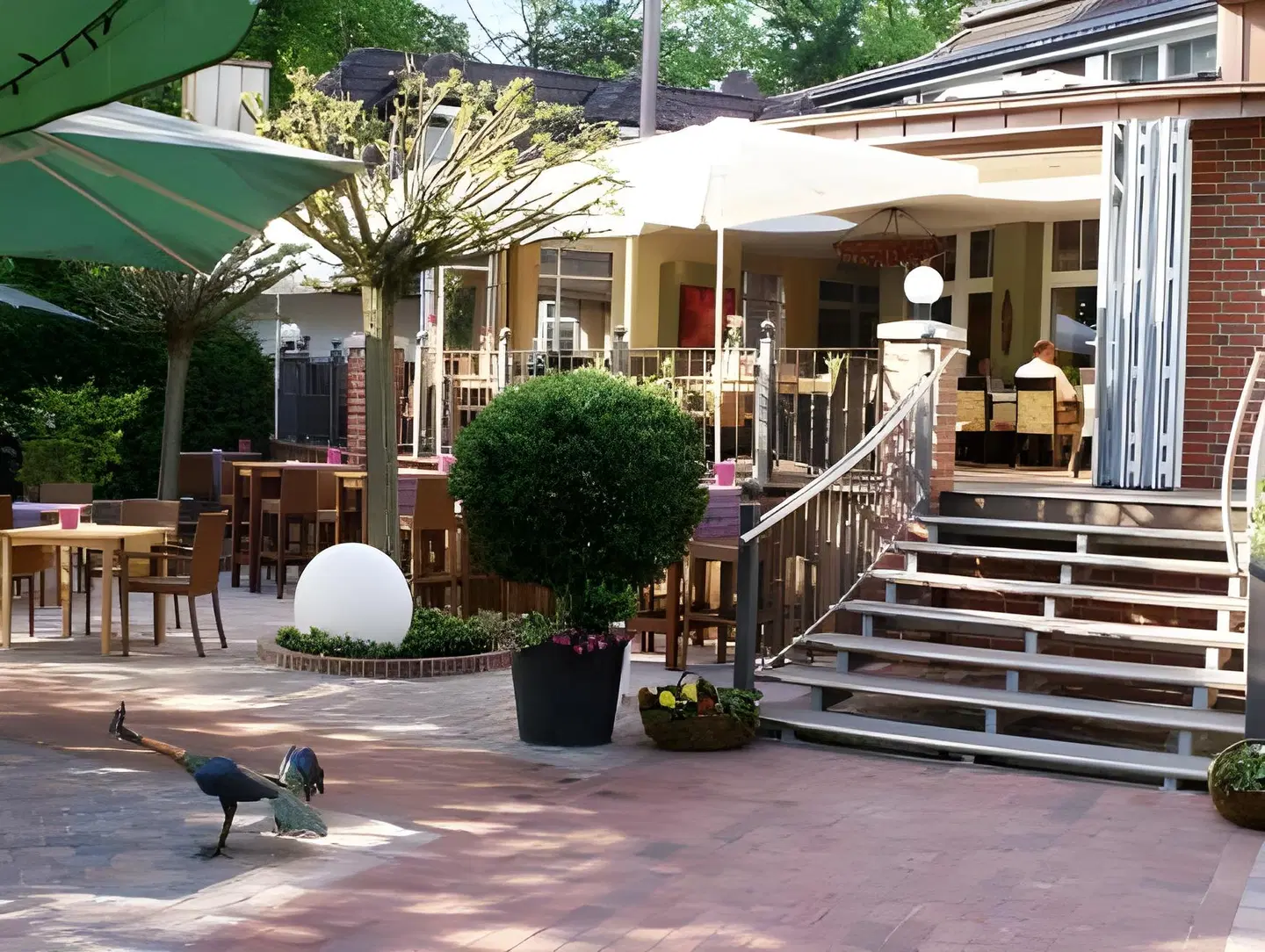 Robben - Grollander Krug Terrasse