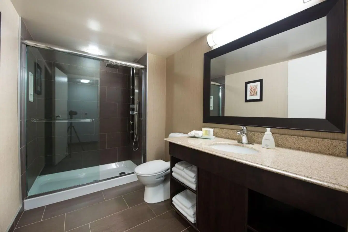 Victoria Inn Hotel & Convention Centre Brandon Badezimmer