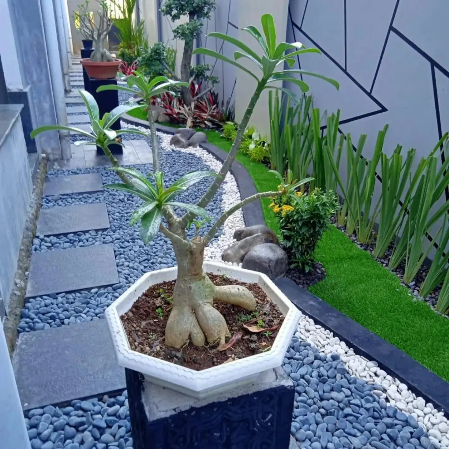Alzara Hotel Garten