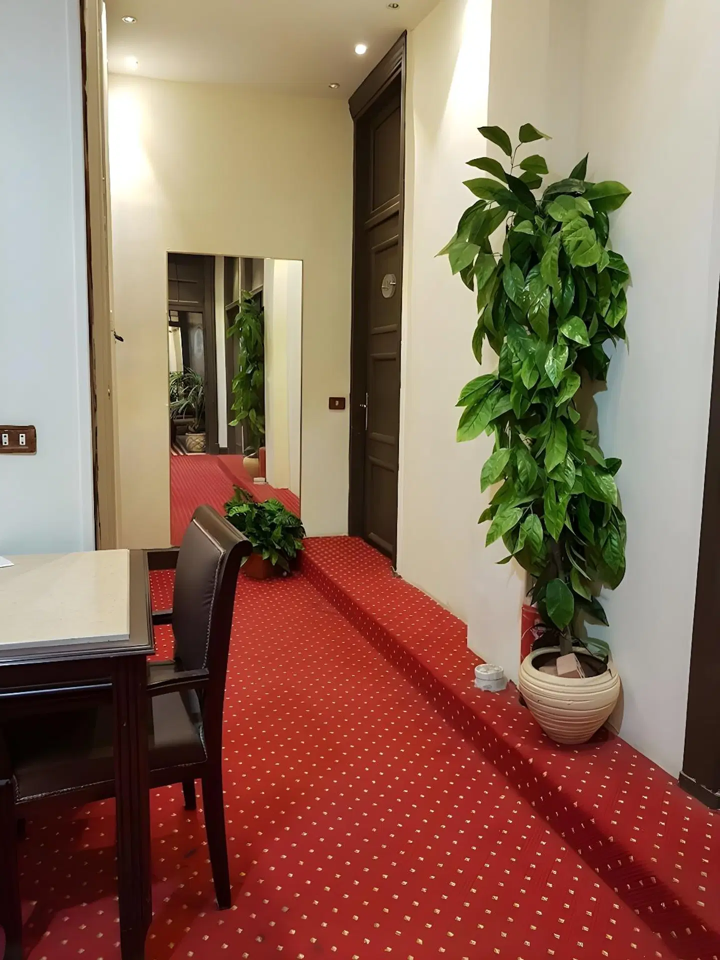 Cairo Paradise Hotel ROOM_EXAMPLE