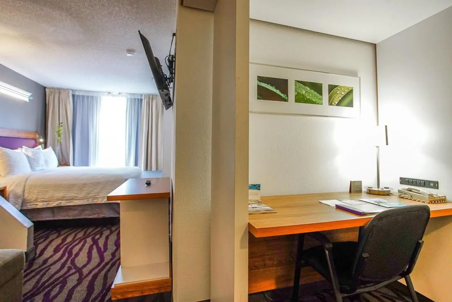 SpringHill Suites Savannah Midtown ROOM_EXAMPLE