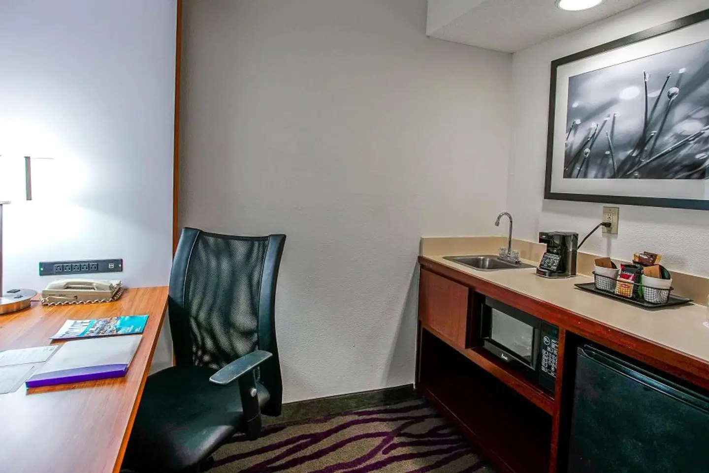SpringHill Suites Savannah Midtown ROOM_EXAMPLE