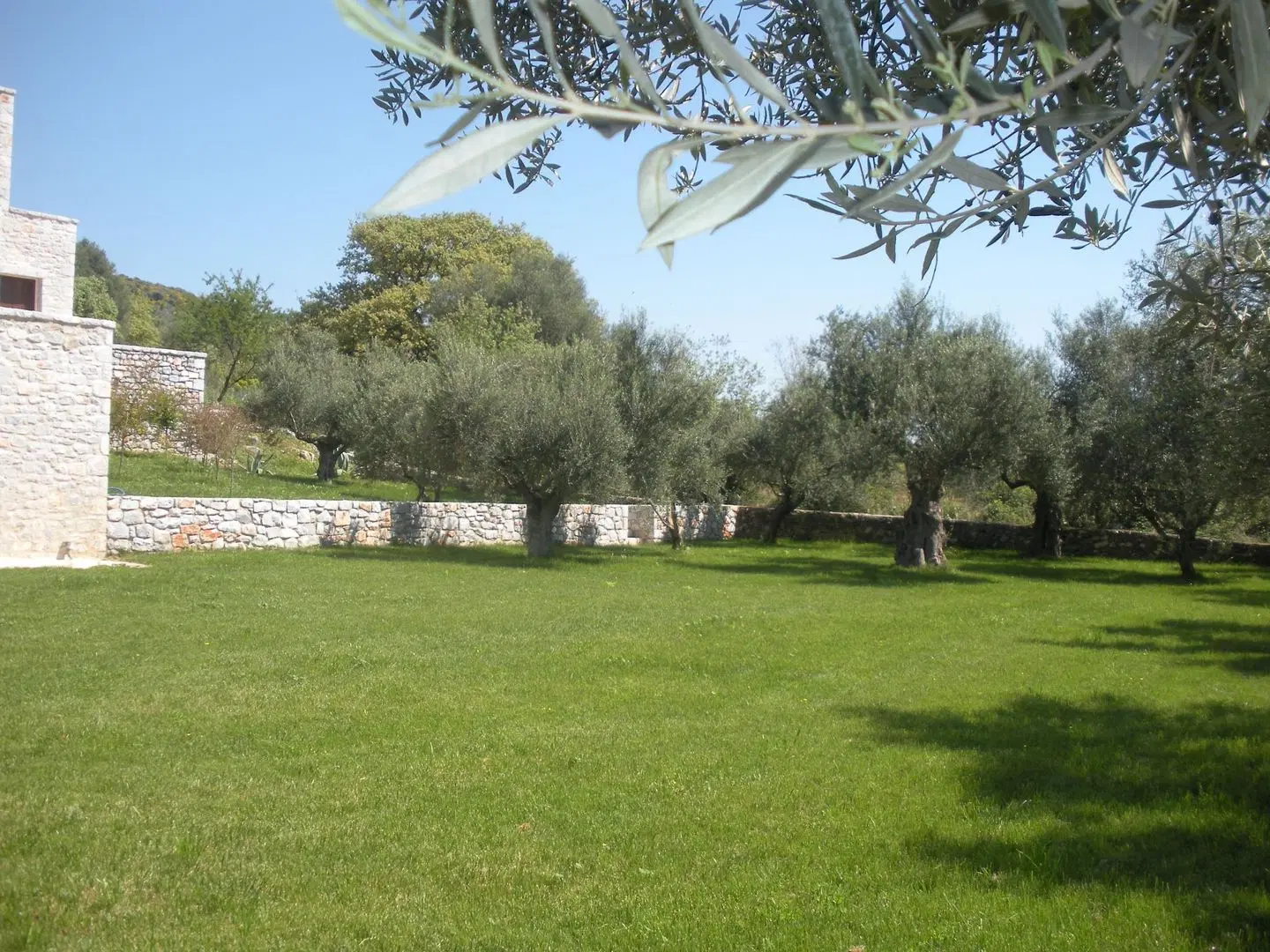 Kamares Villa Garten