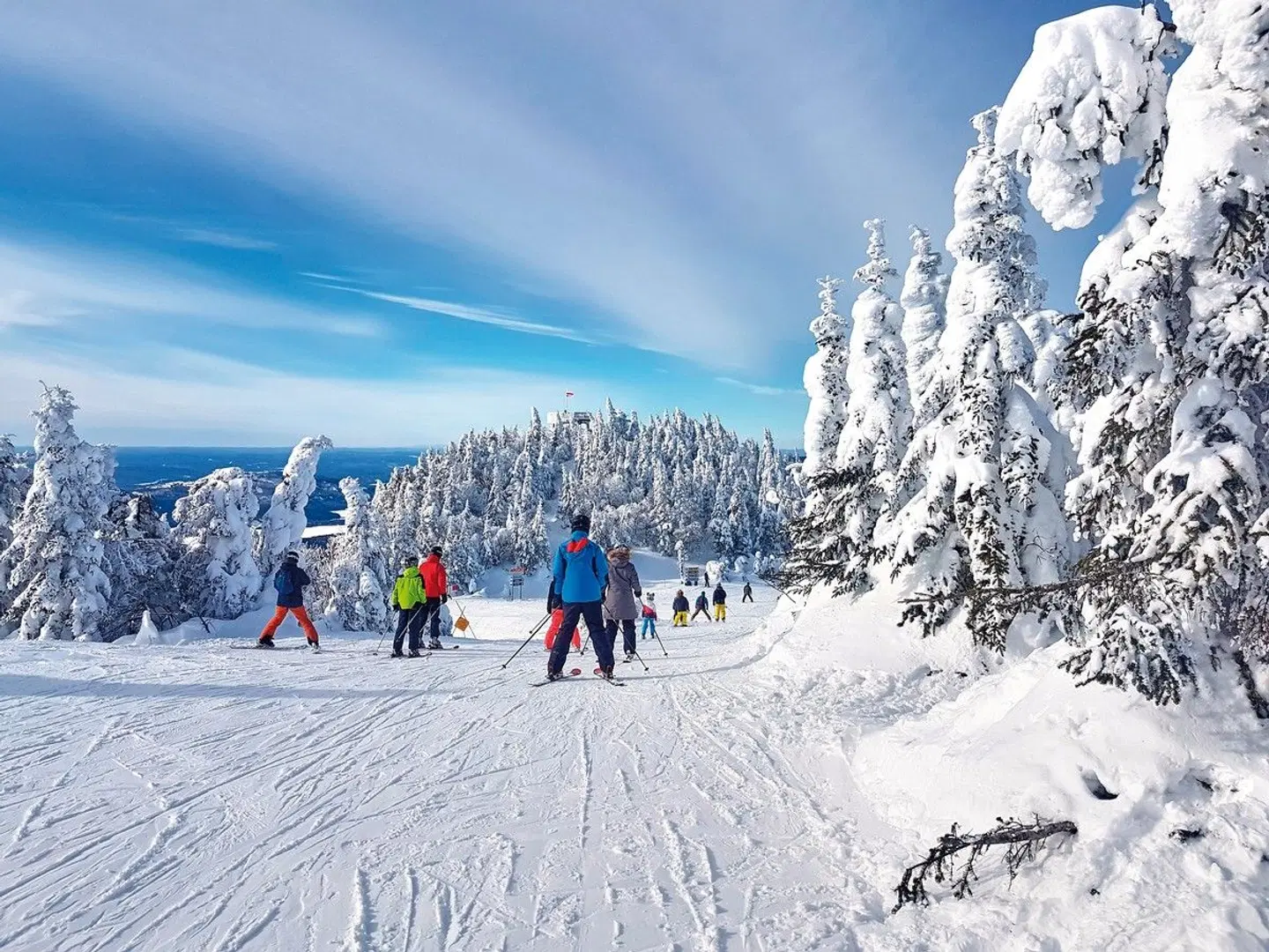 Québec Winter Wonderland LANDSCAPE