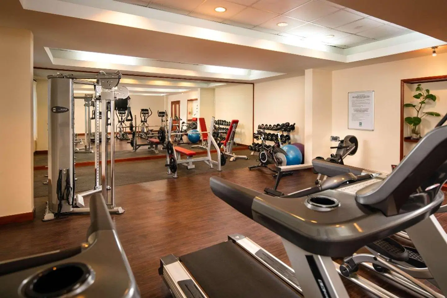 Four Points by Sheraton Santo Domingo SPORTS_AND_LEISURE
