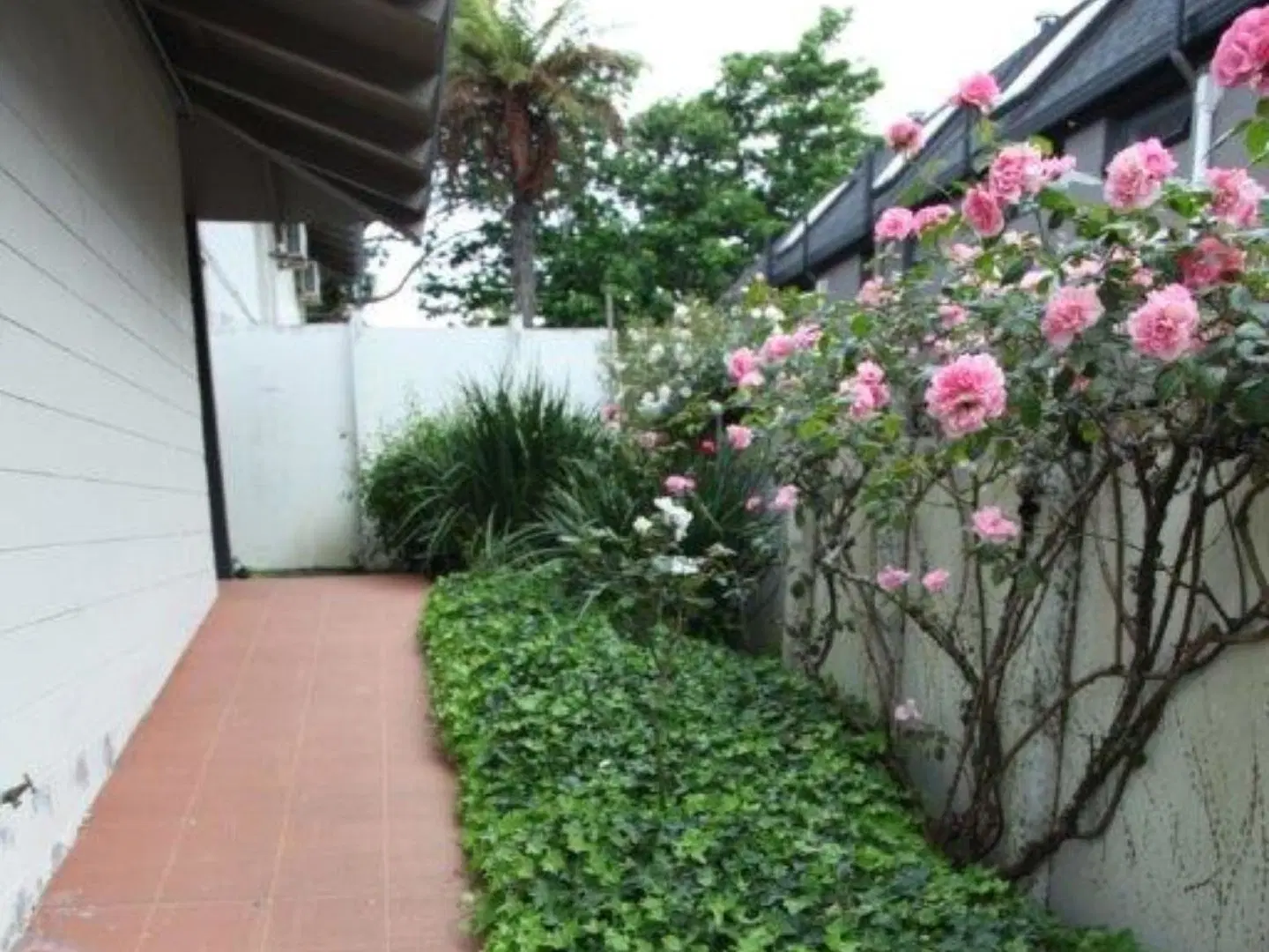 Epsom Motel Garten
