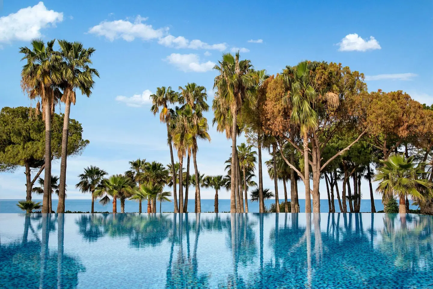 Acanthus & Cennet Barut Collection OUTDOOR_POOL