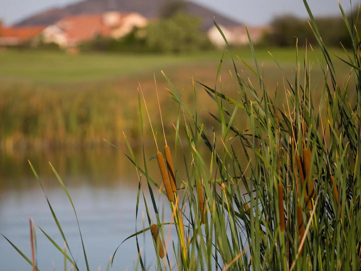 Phakalane Golf Estate Hotel Resort LANDSCAPE