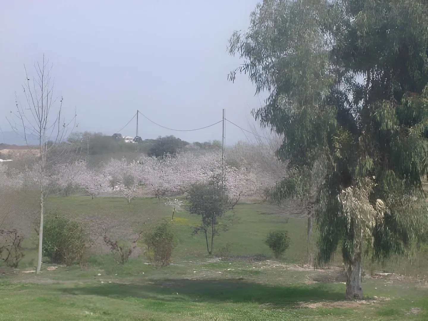 Rural La Paloma LANDSCAPE