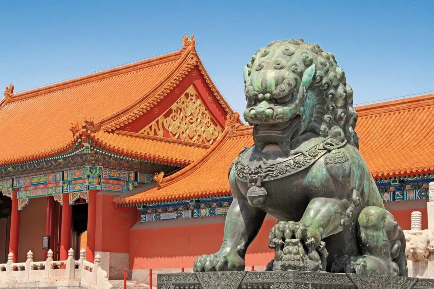 Die Metropolen Chinas (Privatreise) Tiere