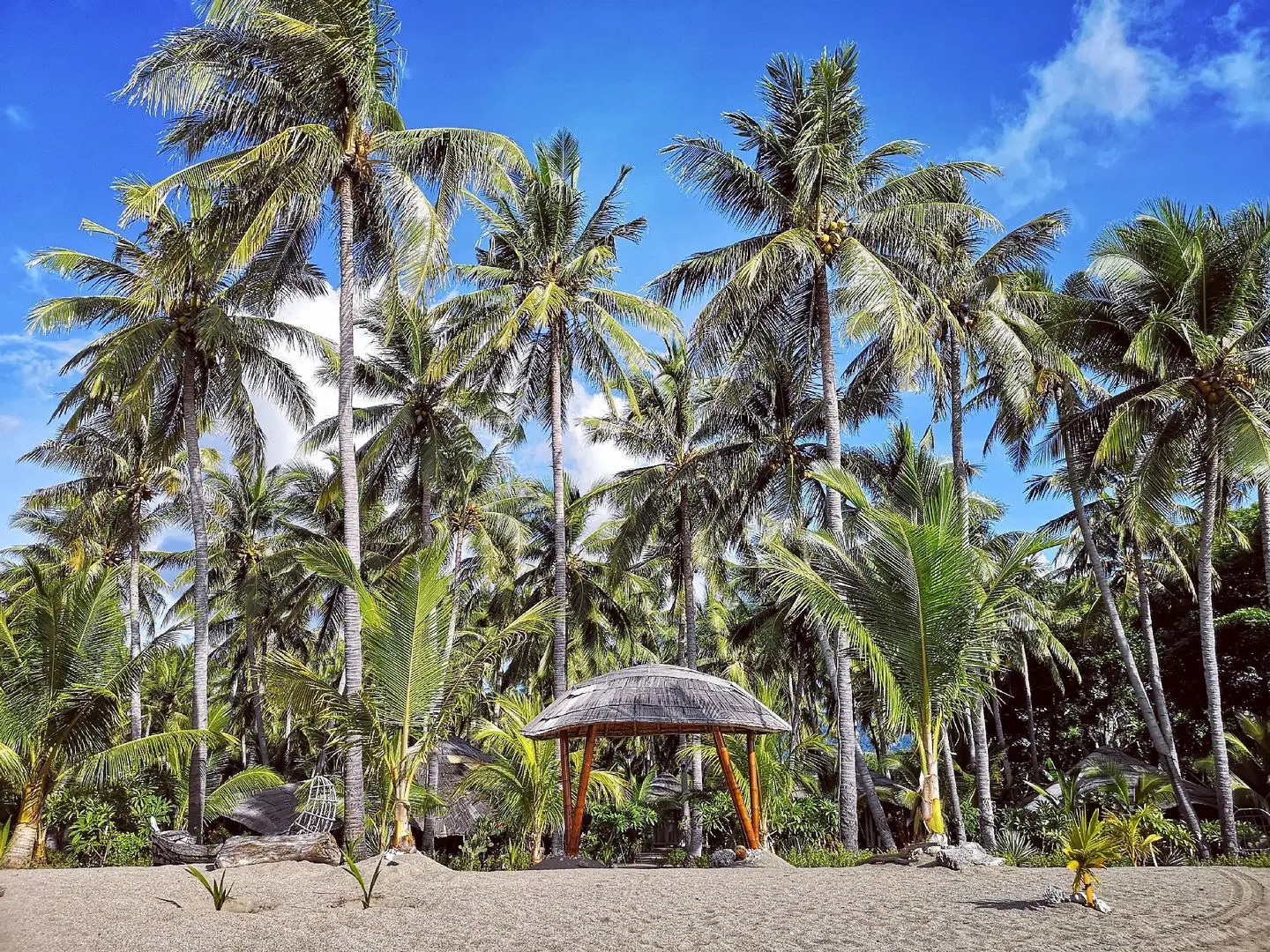 Coconut Garden Beach Resort Garten