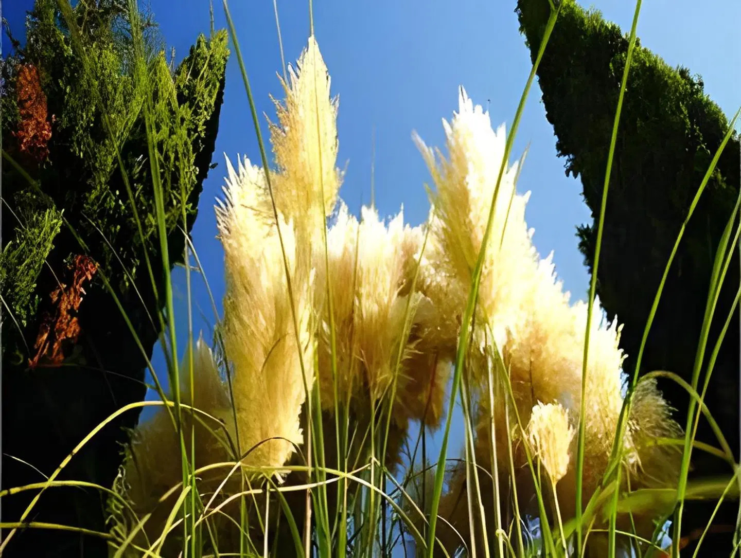 Villa Tivoli LANDSCAPE