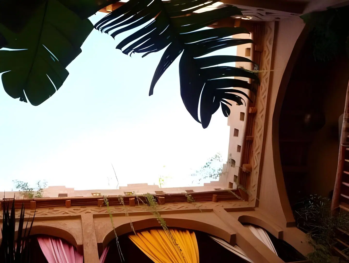 Riad Mehdia Tiere