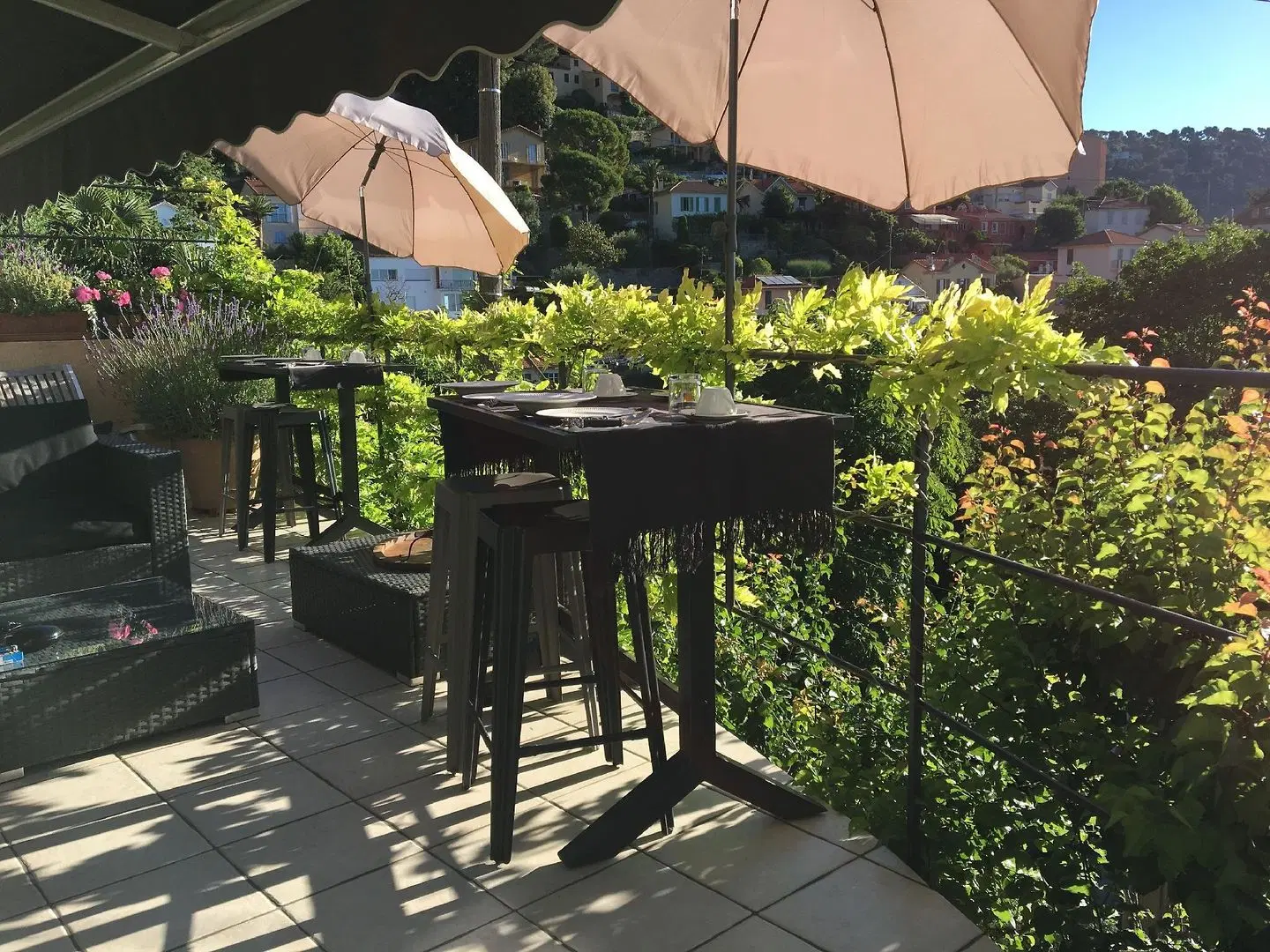 Skylark Bed & Breakfast TERRACE