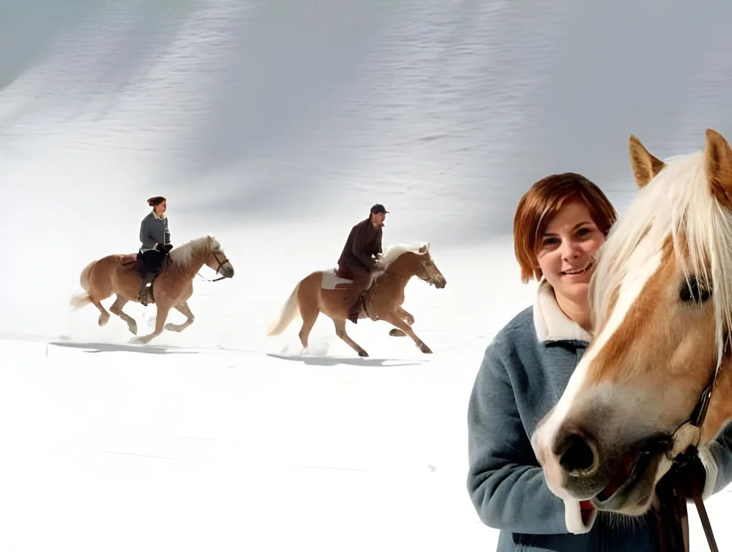 Ortnerhof Tiere