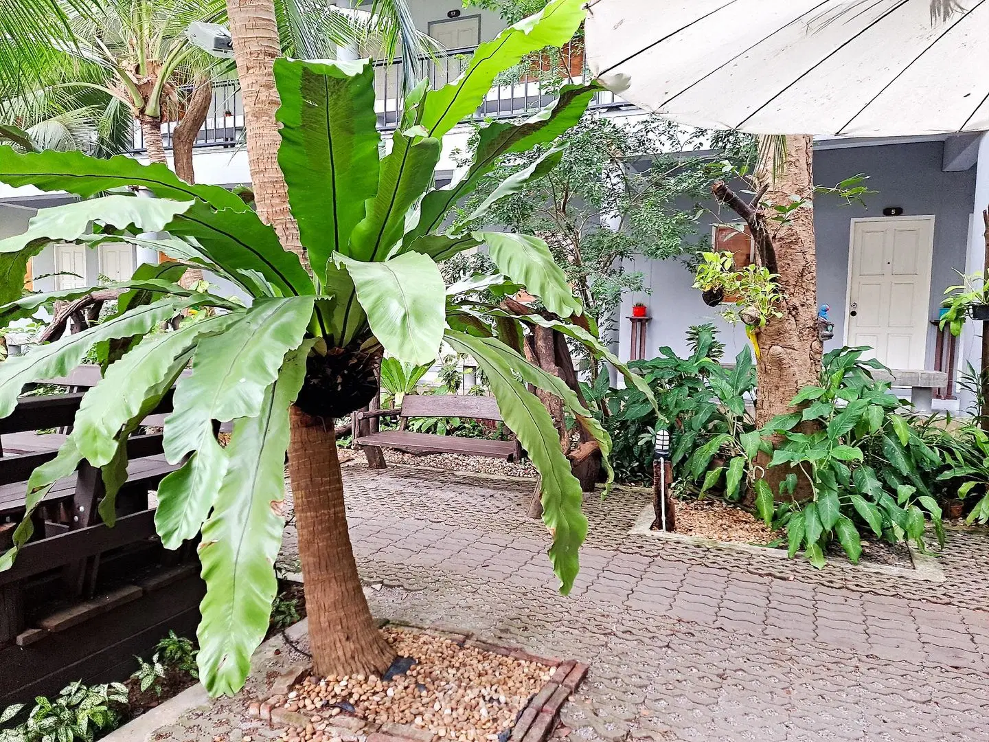 Bann Suan Maeklong Garten
