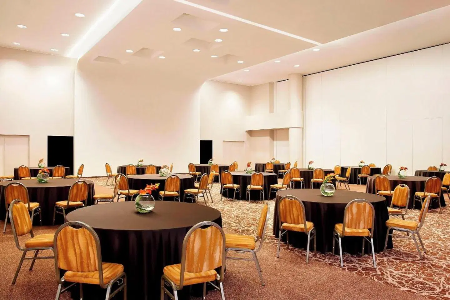 Sheraton Milan Malpensa Airport Hotel & Conference Centre Konferenz
