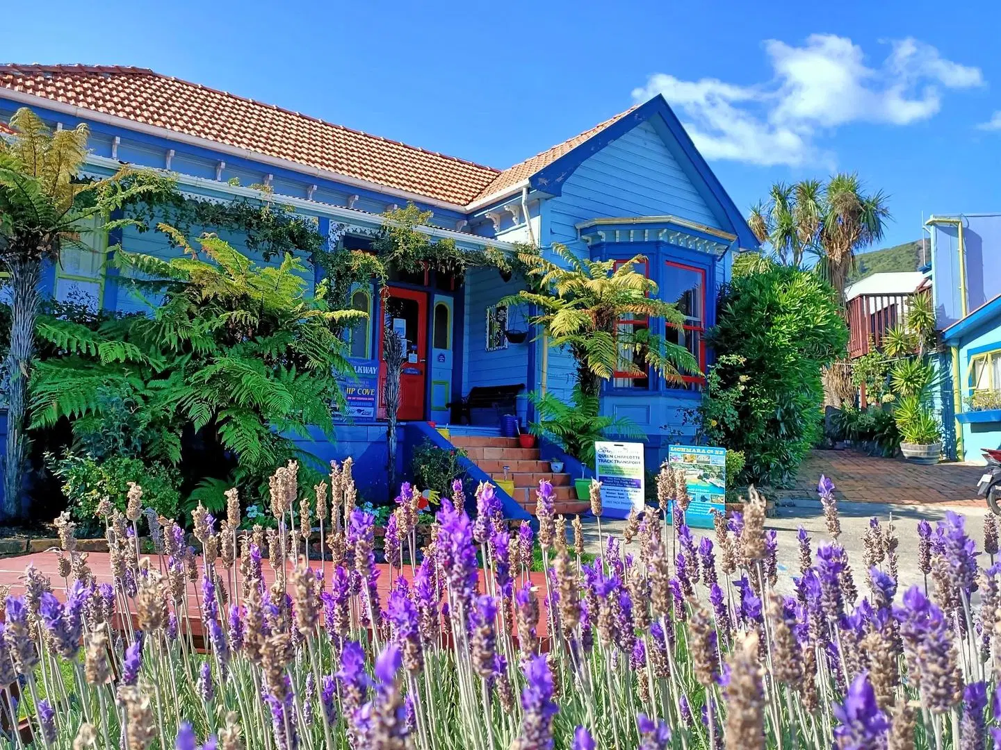 The Villa Backpackers Lodge EXTERIOR