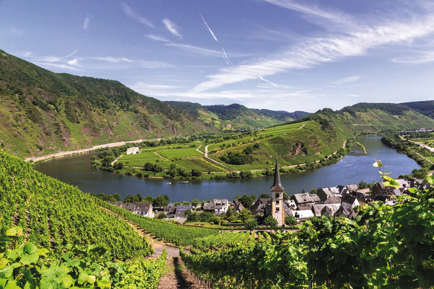 Mosel-Radweg ab Trier/bis Koblenz LANDSCAPE