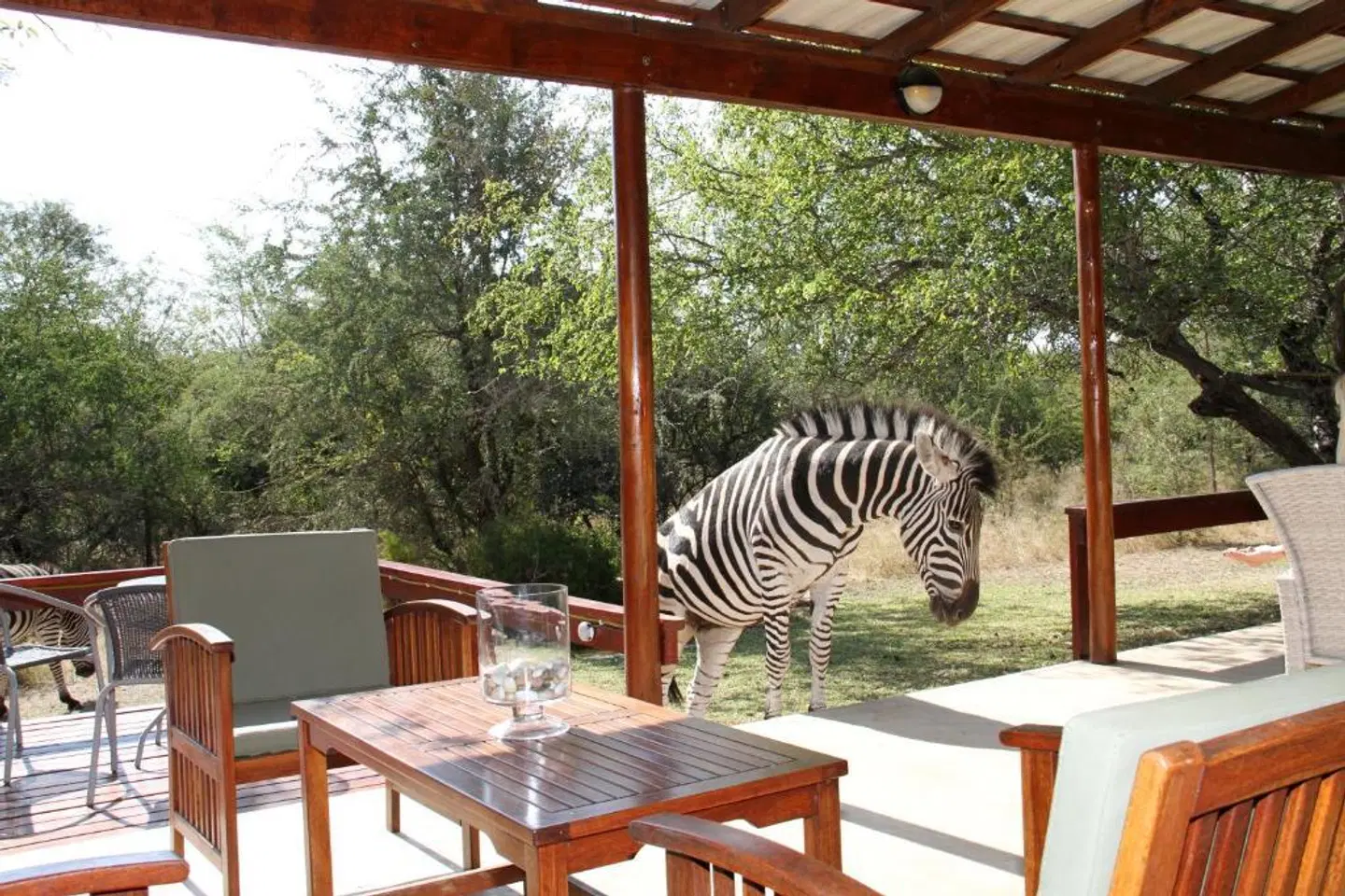 Turaco Lodge Terrasse