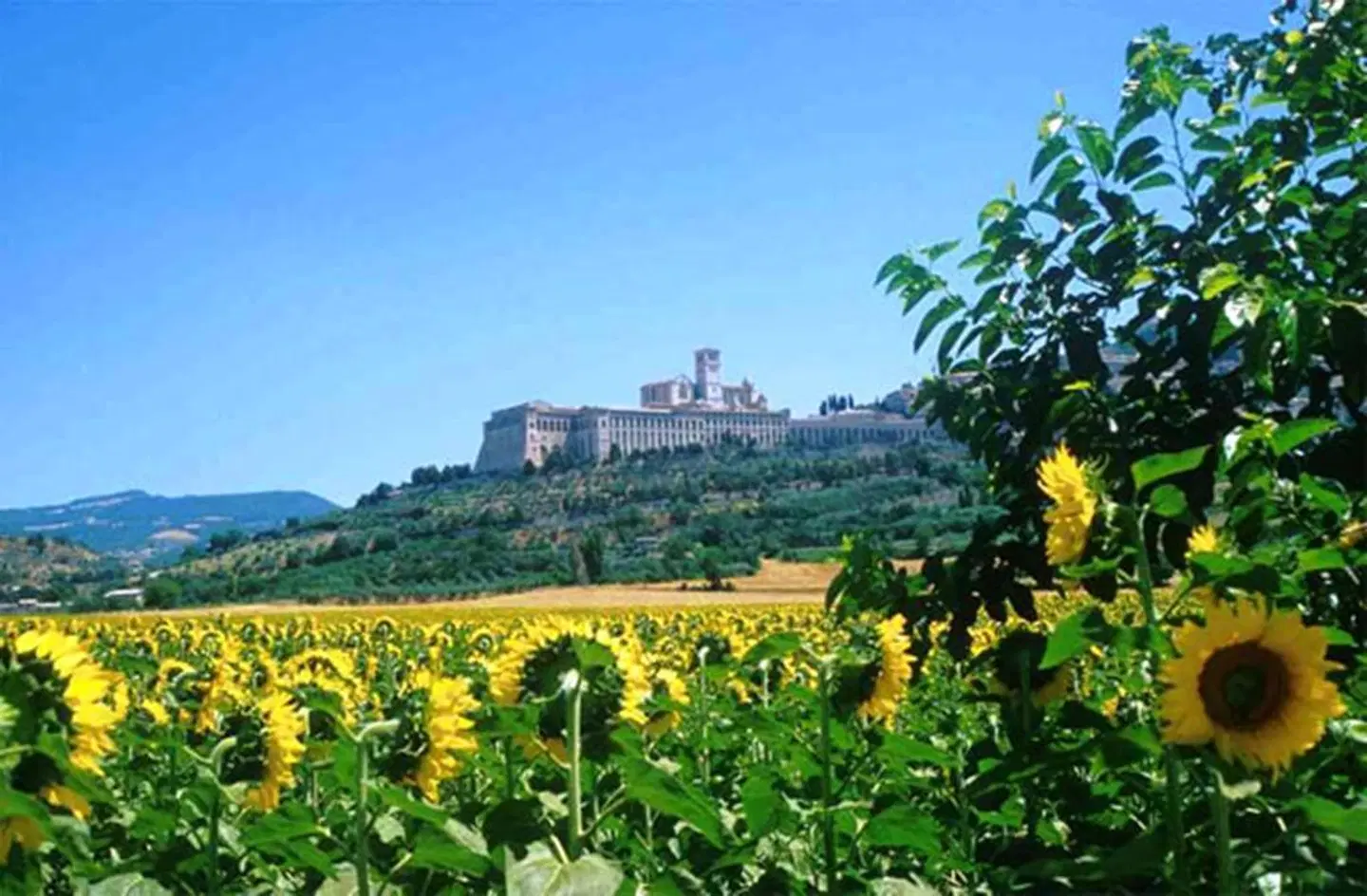 Cristallo LANDSCAPE