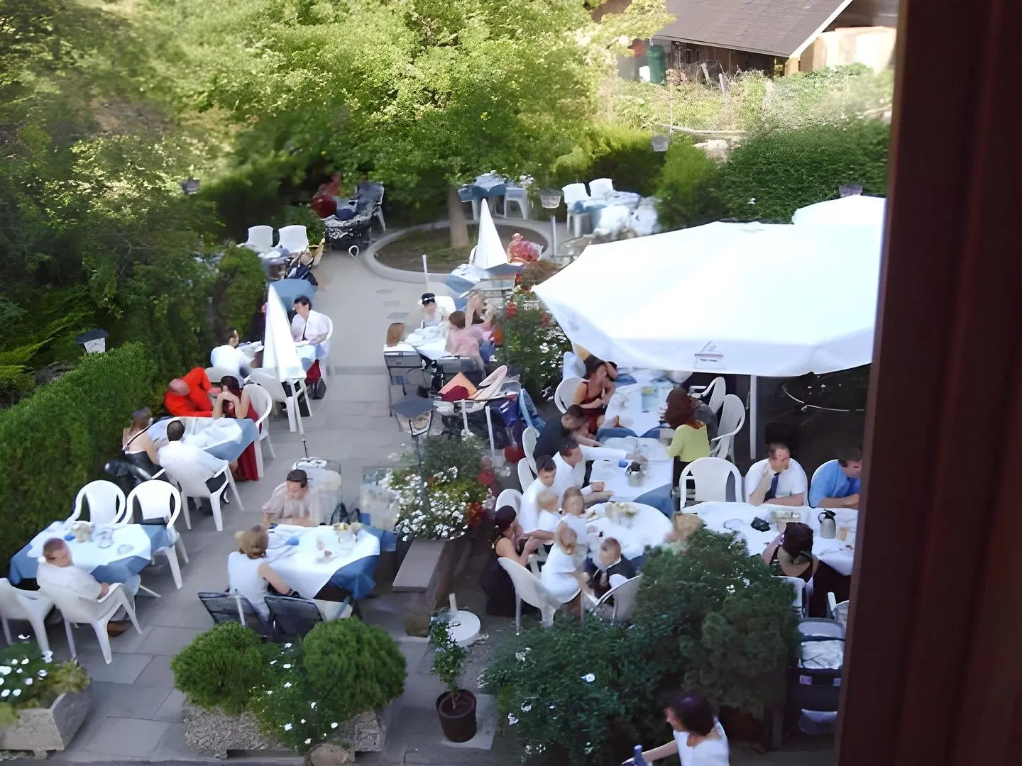 Rebstock Garten