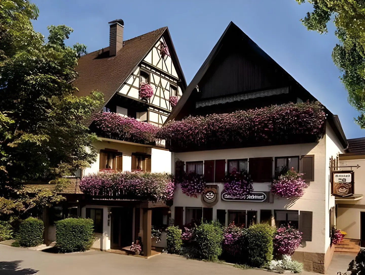Rebstock EXTERIOR